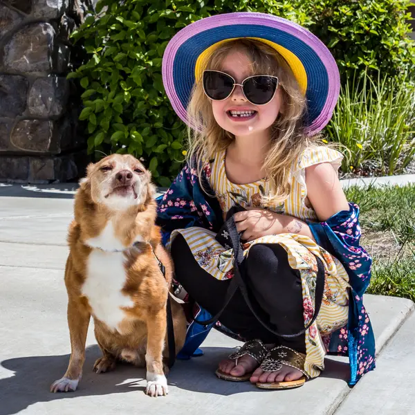 Sun, and a small dog