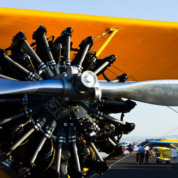 Warbird