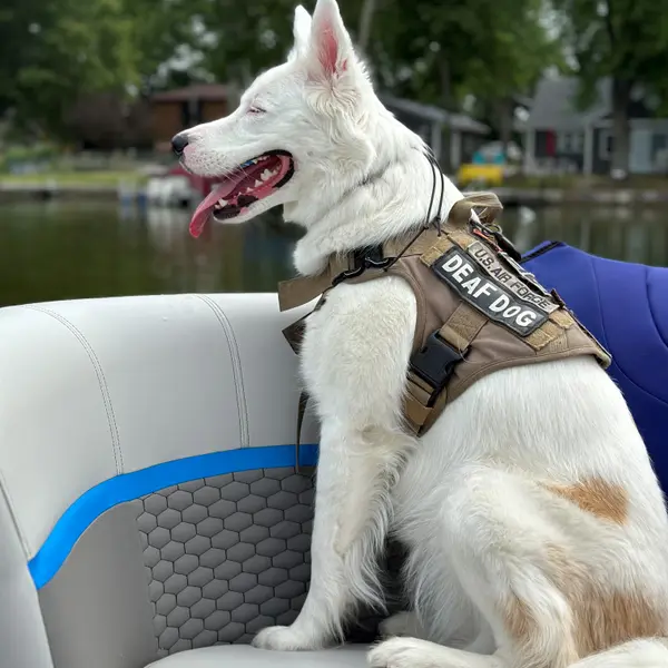 Kira rides