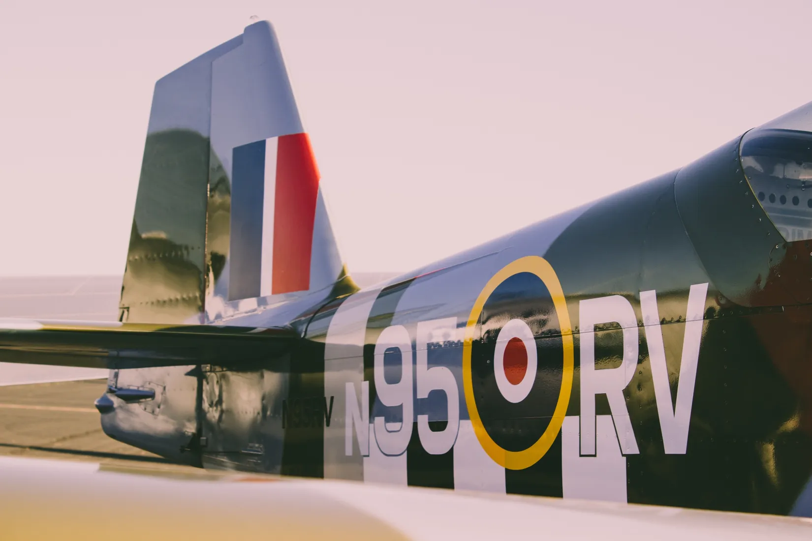 Tail and fuselage of an aircraft marked N95ORV with an RAF roundel